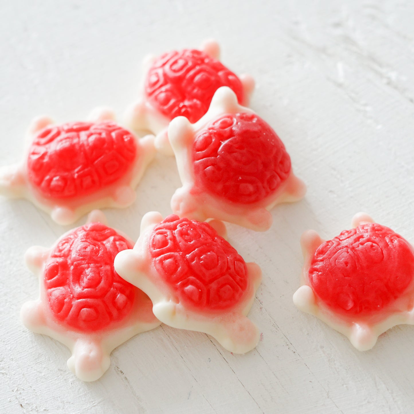 REFILL Sea Turtles